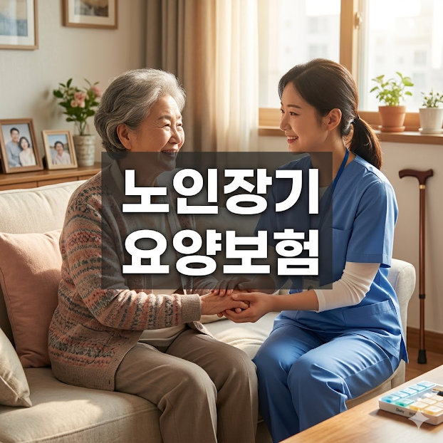 노인장기 요양보험