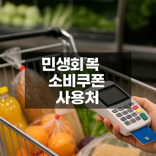 민생회복 소비쿠폰이란?
