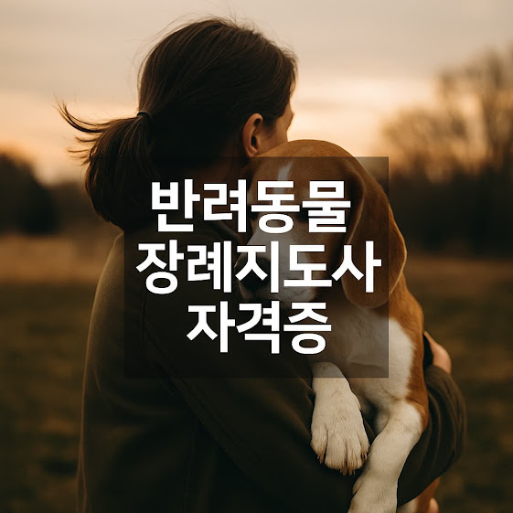 반려동물의 마지막 길을 책임지는 전문 직업