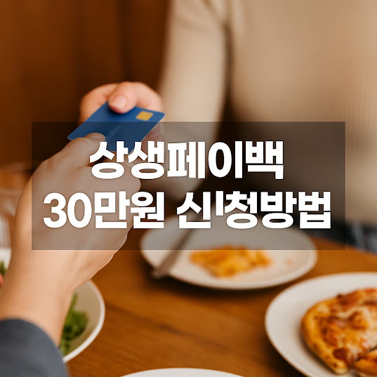 상생페이백이란?