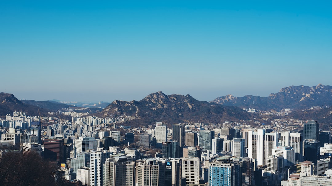 여러 보험 증서와 스마트폰 보험 앱을 보며 실손보험 중복 가입 여부를 고민하는 사람