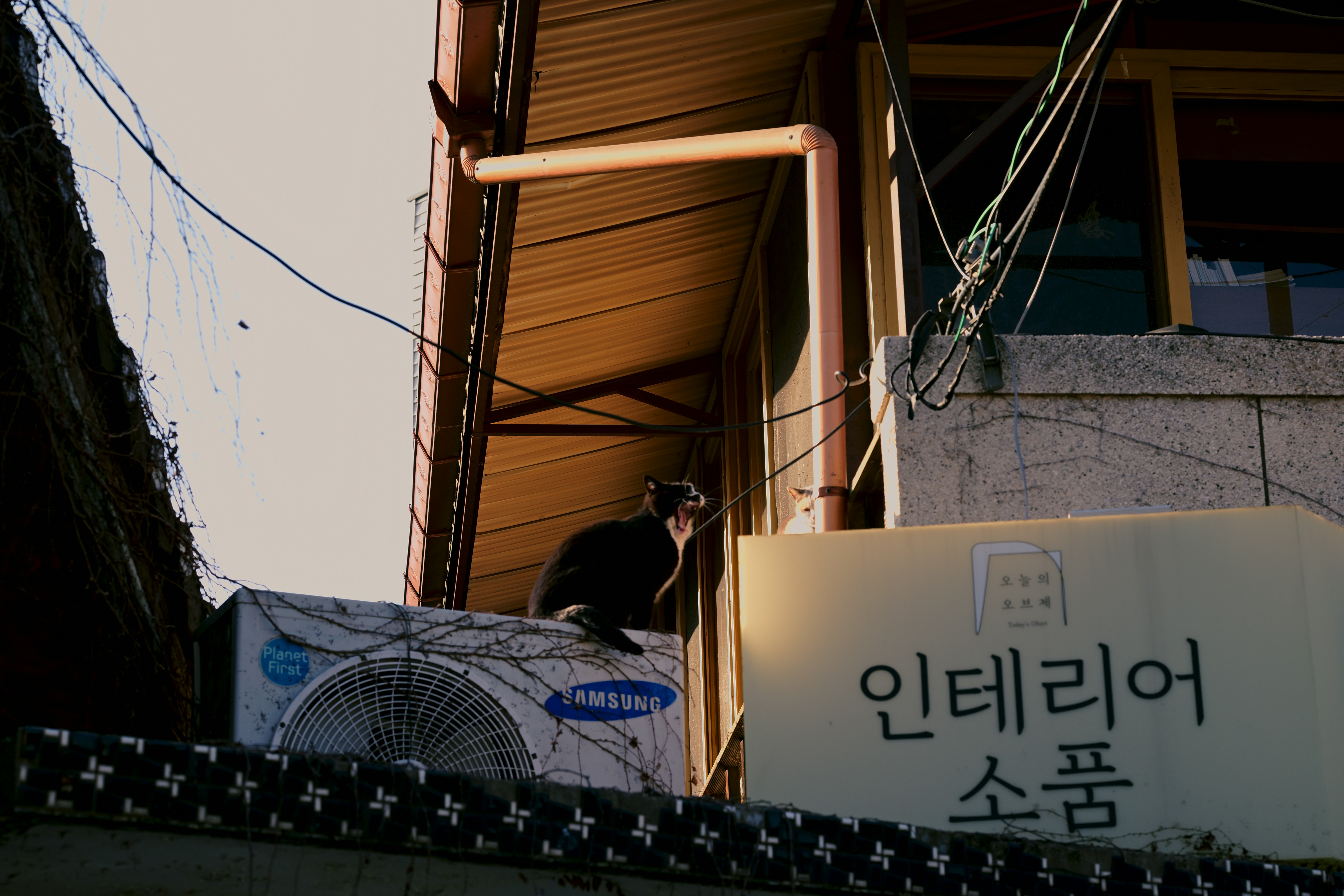 다양한 연금 상품에 투자하여 노후를 준비하는 모습