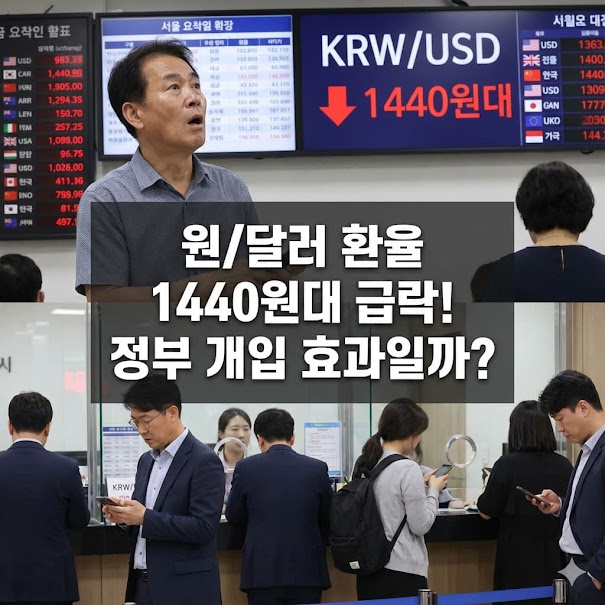 원 달러 환율 1440원대 급락! 정부 개입 효과일까?