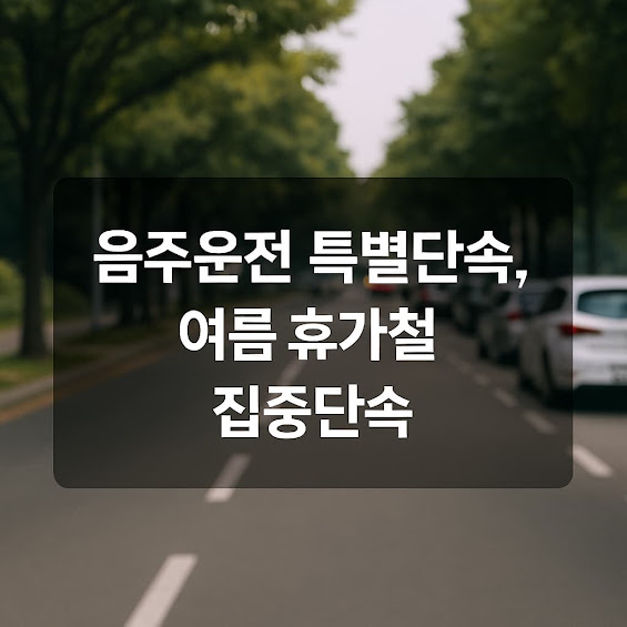 2025년 여름 단속 일정
