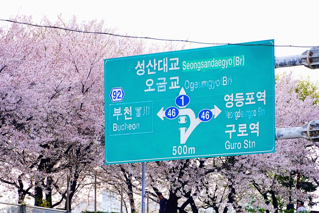 안전 운전을 통해 신호등을 지나가는 자동차 이미지