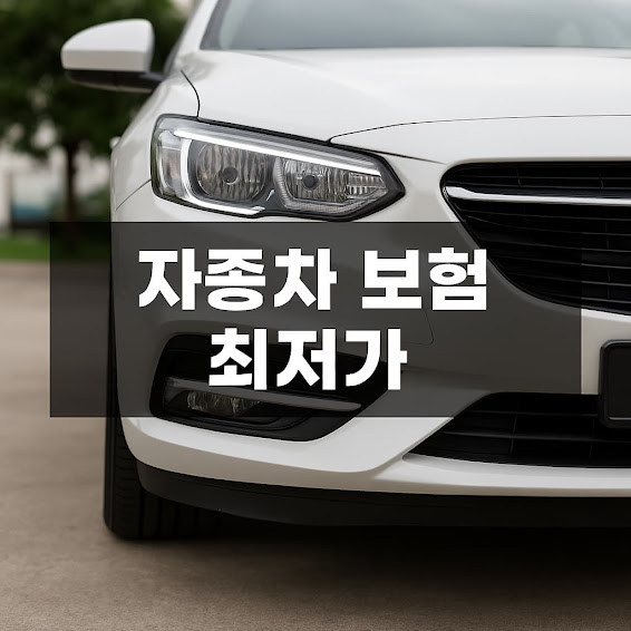 1. 자동차 보험 최저가, 무엇을 기준으로 볼까?