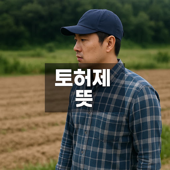 토허제뜻 가이드: 토지거래허가제, 이것만 알면 끝!