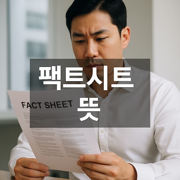 팩트시트 뜻