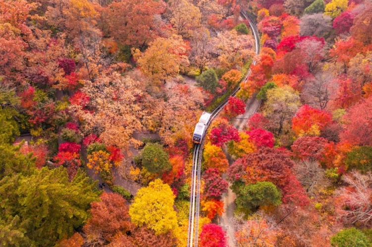 화담숲 예약 시 유의사항