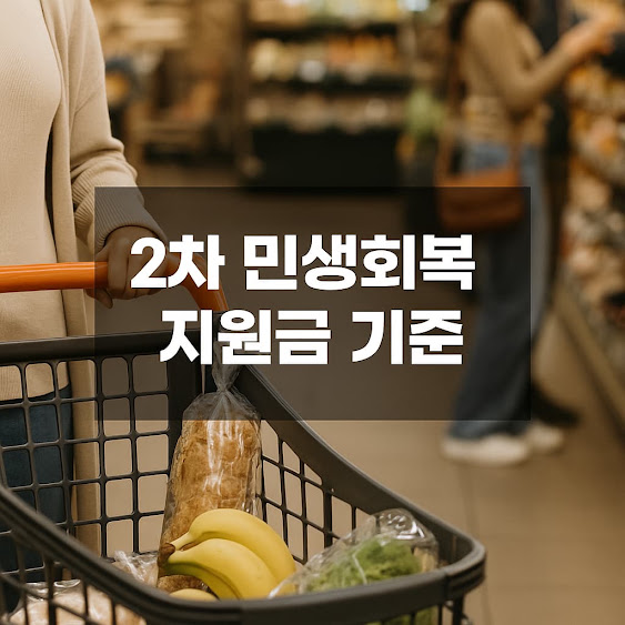 2차 민생회복 지원금 개요
