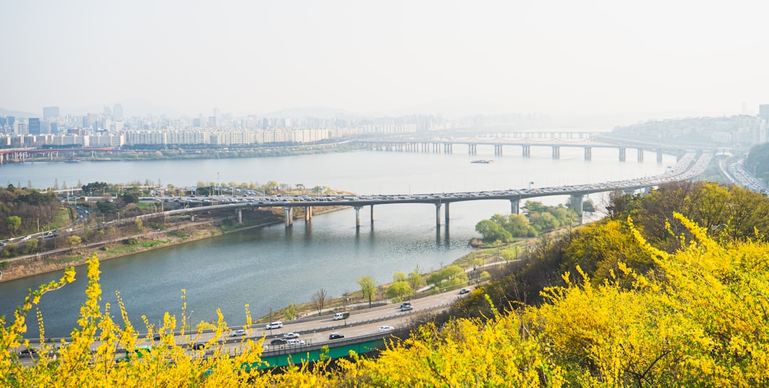 IRP 계좌 해지 수수료보다 중요한 세금 문제