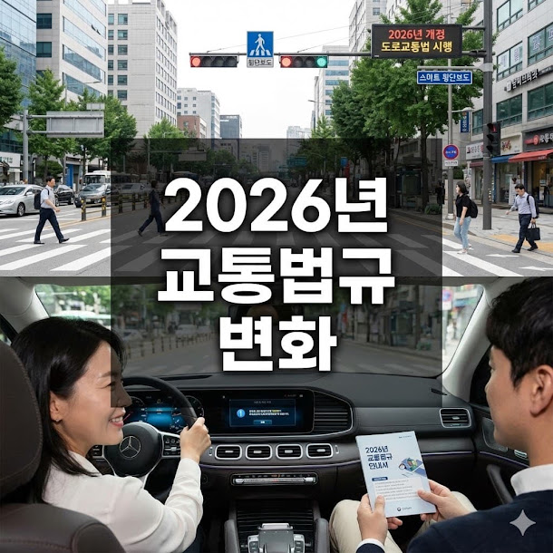 교통법규 변화