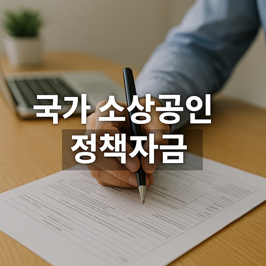 국가 소상공인 정책자금