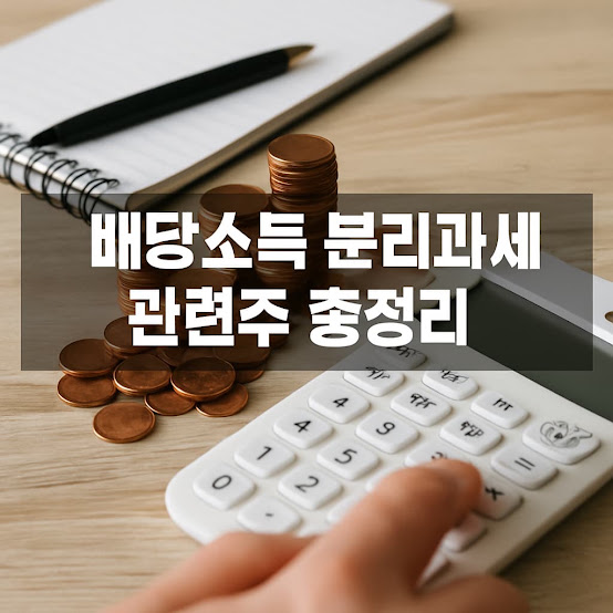 배당소득 분리과세 관련주 총정리! 투자자들이 주목해야 할 고배당 종목