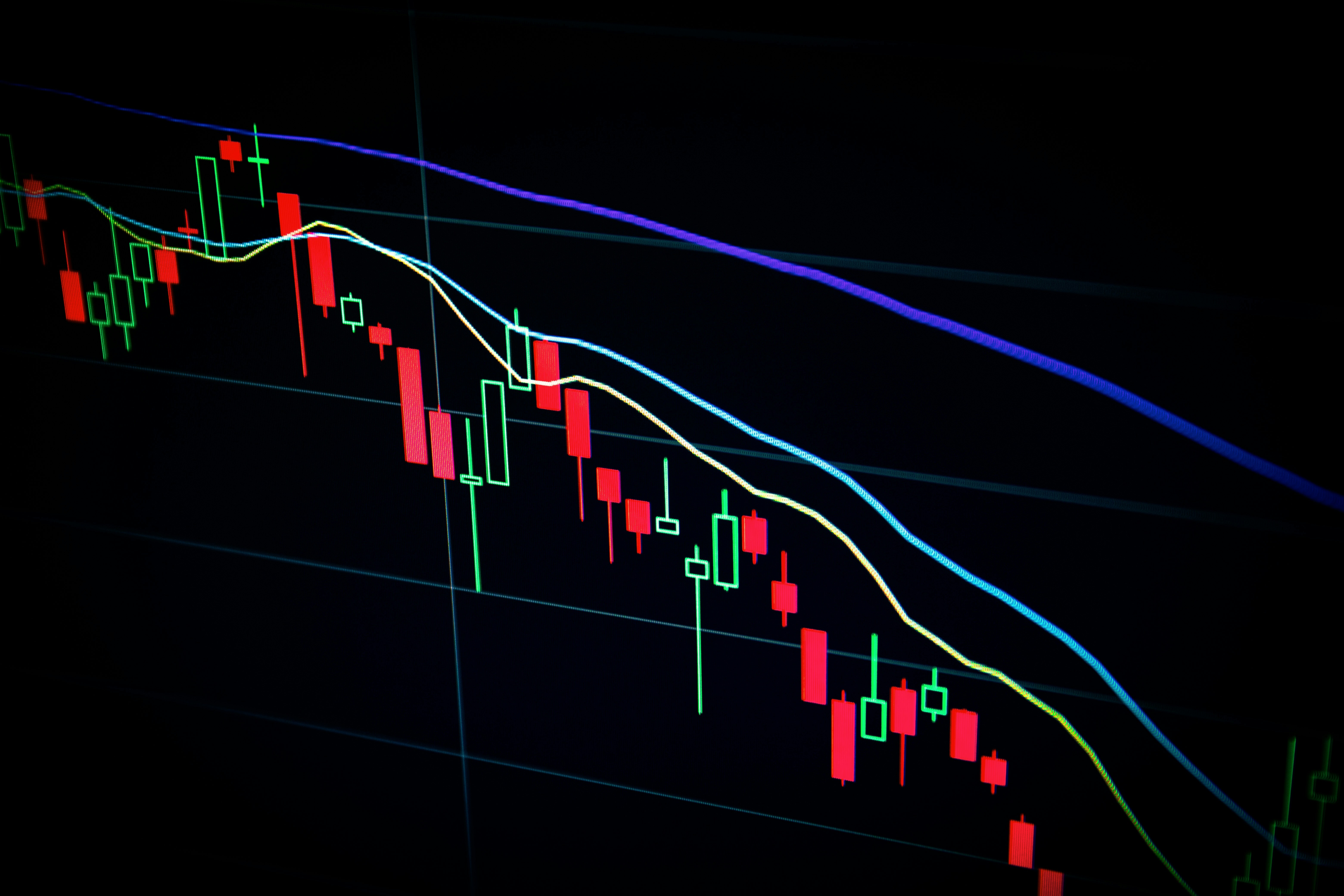 배당주 투자: ETF vs 개별주, 당신의 선택은?