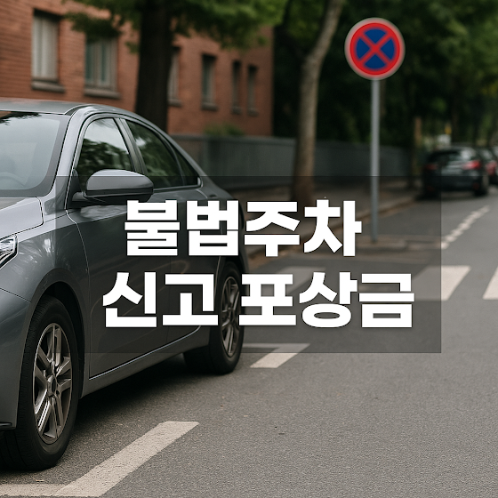 불법주차 신고 포상금 제도, 진실과 오해