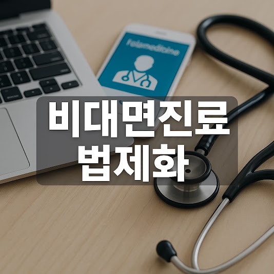 비대면진료 법제화