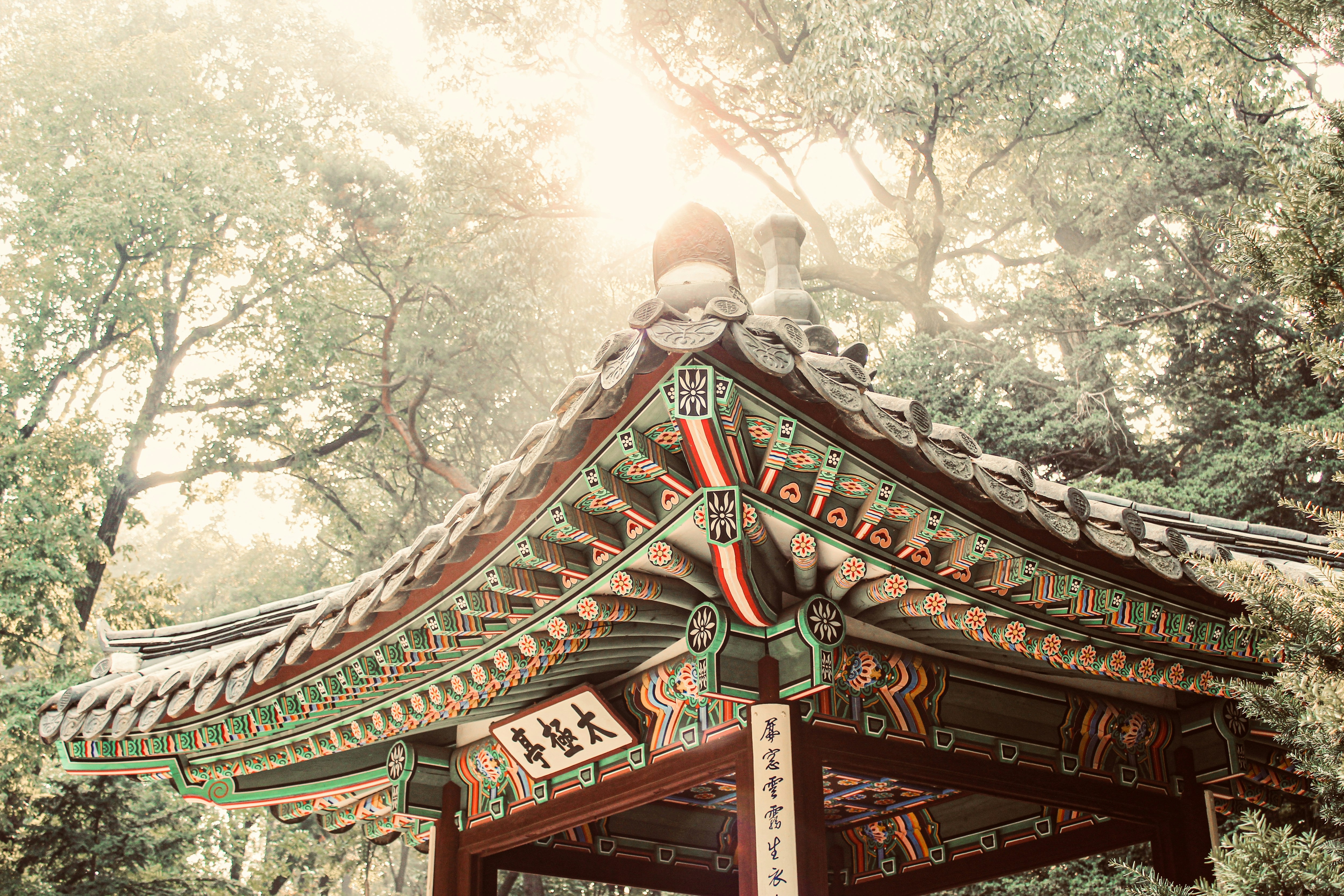 상속세 증여세 차이: 개편 전 필수 확인 사항