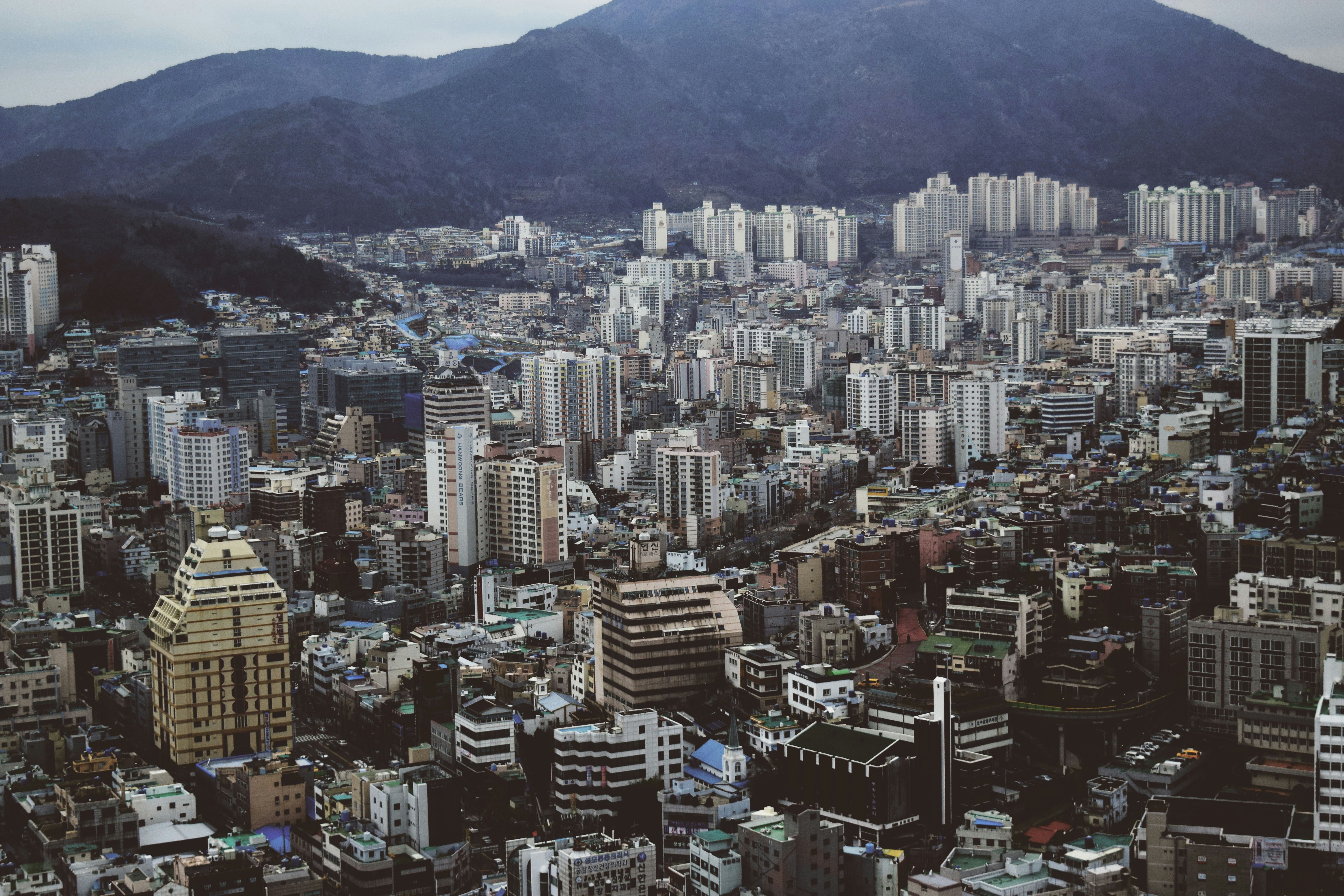 세금계산서 발행, 가산세 폭탄 피하는 법!