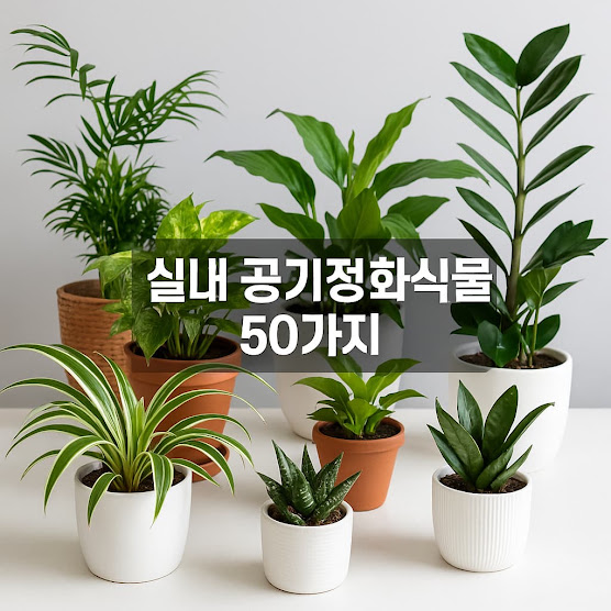 실내 공기정화식물 50가지