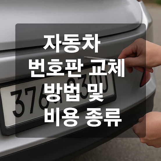 자동차 번호판 교체 방법, 비용, 종류 가이드