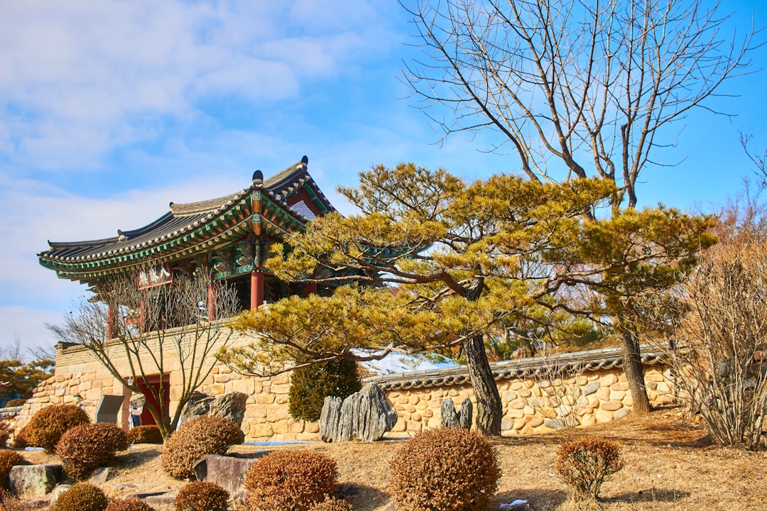 주택 구입 시 취득세 계산 방법과 세율 이해하기
