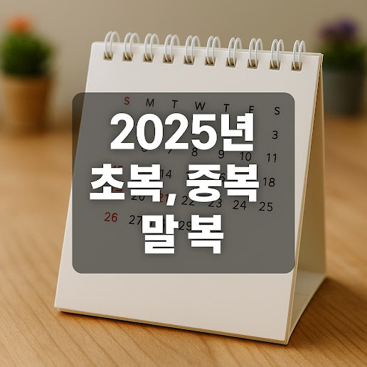 초복 중복 말복 날짜 총정리: 복날 의미와 보양식 추천까지