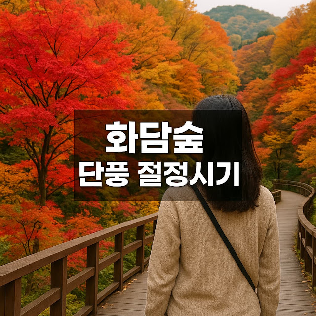화담숲 단풍 절정시기 – 가을, 서울 근교 단풍 명소 가이드